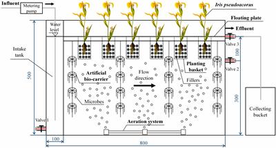 Synergistic Action of Plants and Microorganism in Integrated Floating Bed on Eutrophic Brackish Water Purification in Coastal Estuary Areas